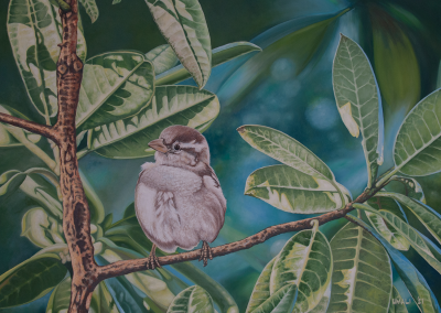 A Message of Hope full image by Gregorio Gary Umali-Umali Art-Pinoy Artist