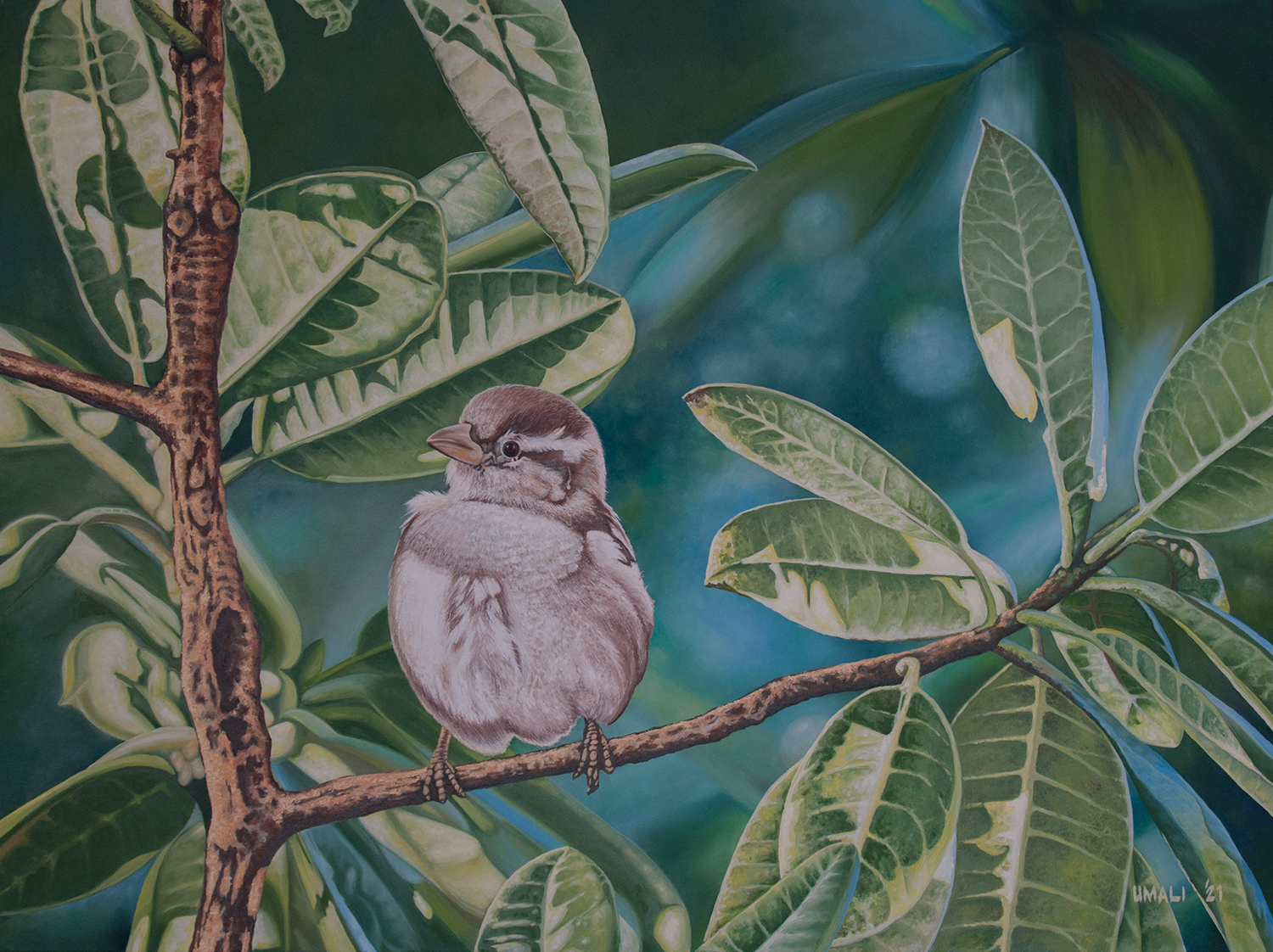 A Message of Hope full image by Gregorio Gary Umali-Umali Art-Pinoy Artist A Message of Hope full image by Gregorio Gary Umali-Umali Art-Pinoy Artist